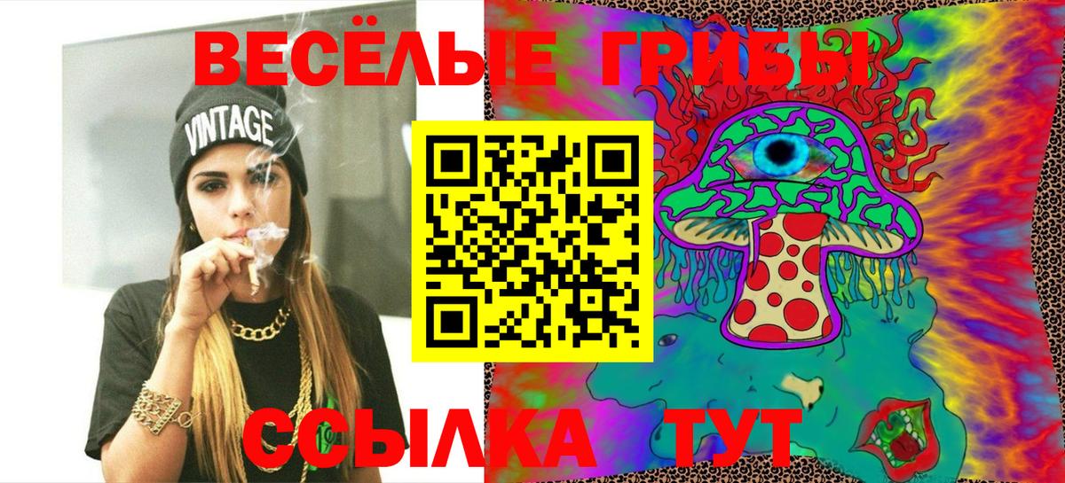 Кириши  Галлюциногенные грибы Psilocybine cubensis  купить наркотики цена  Псилоцибиновые грибы Magic Shrooms  Вход с VPN 