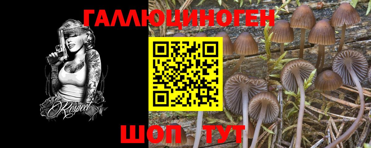 Псилоцибиновые грибы ЛСД Кириши